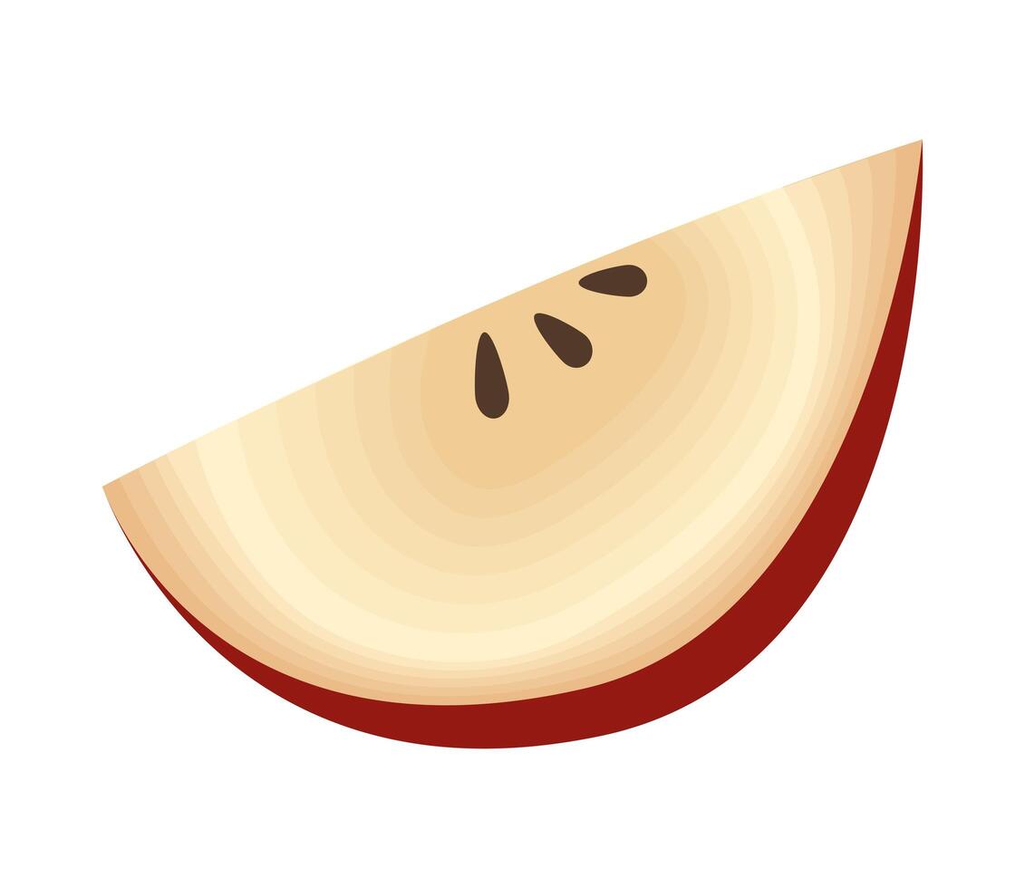 apple portion fruit vector