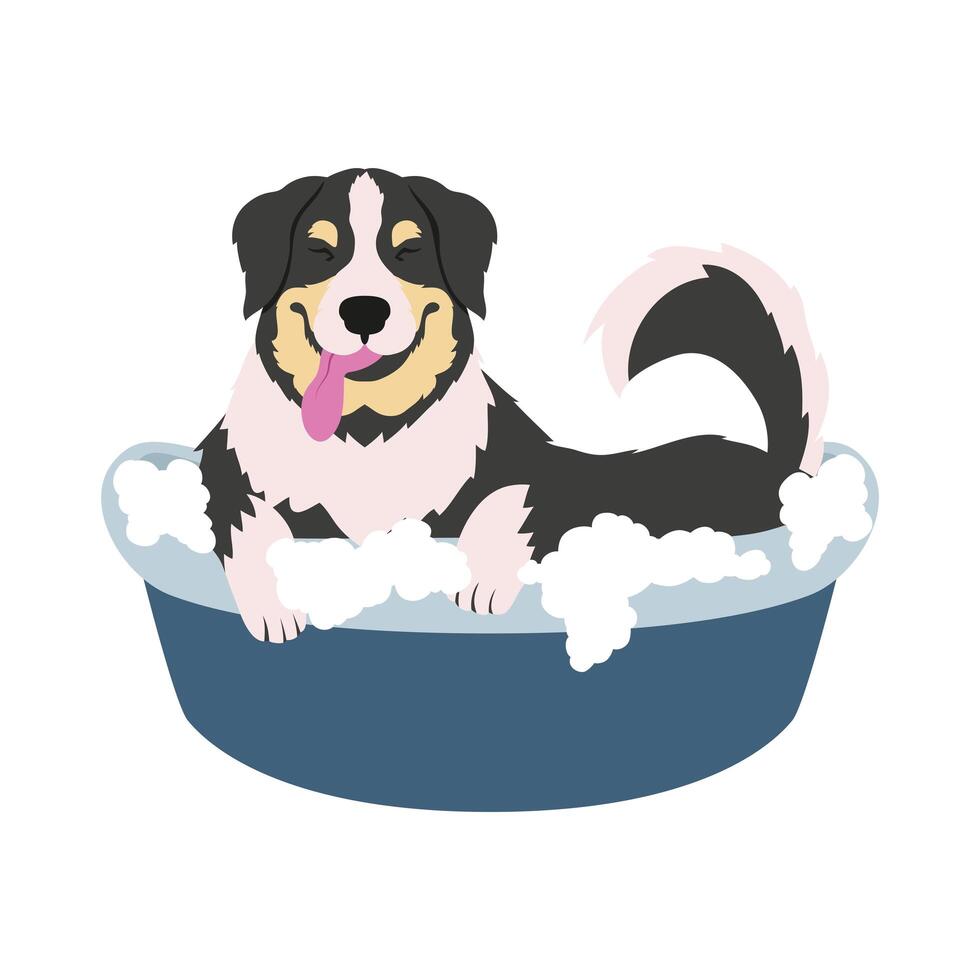 dog taking bath vector