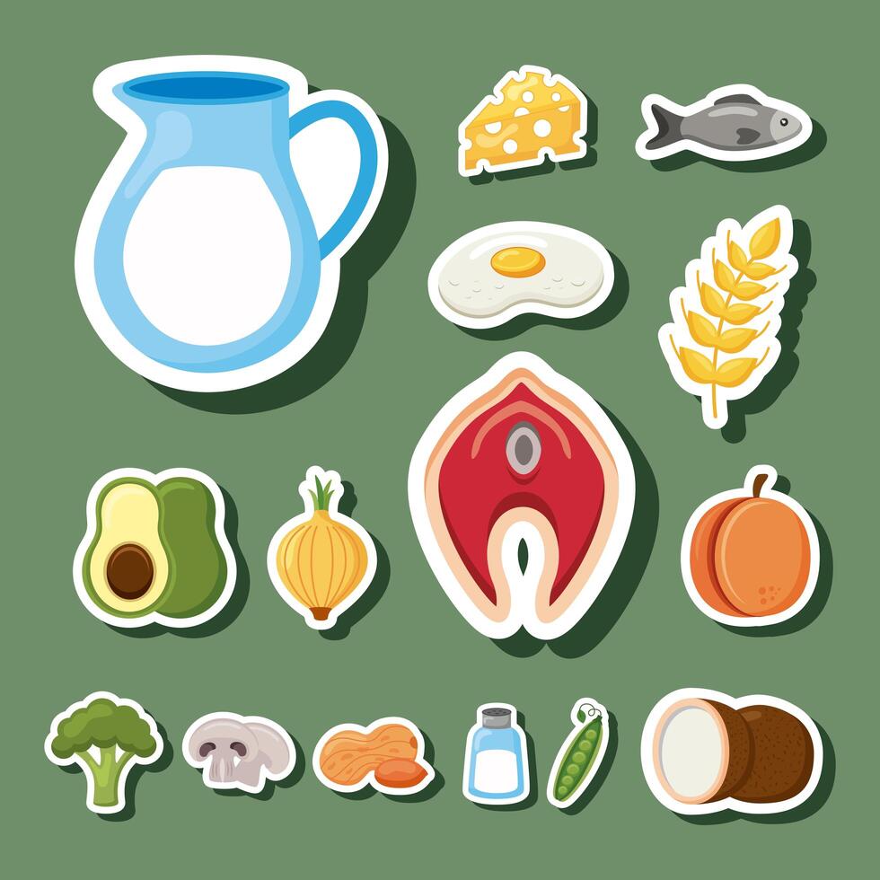 fifteen minerals ingredients vector