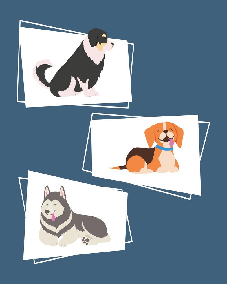 iconos con perros vector