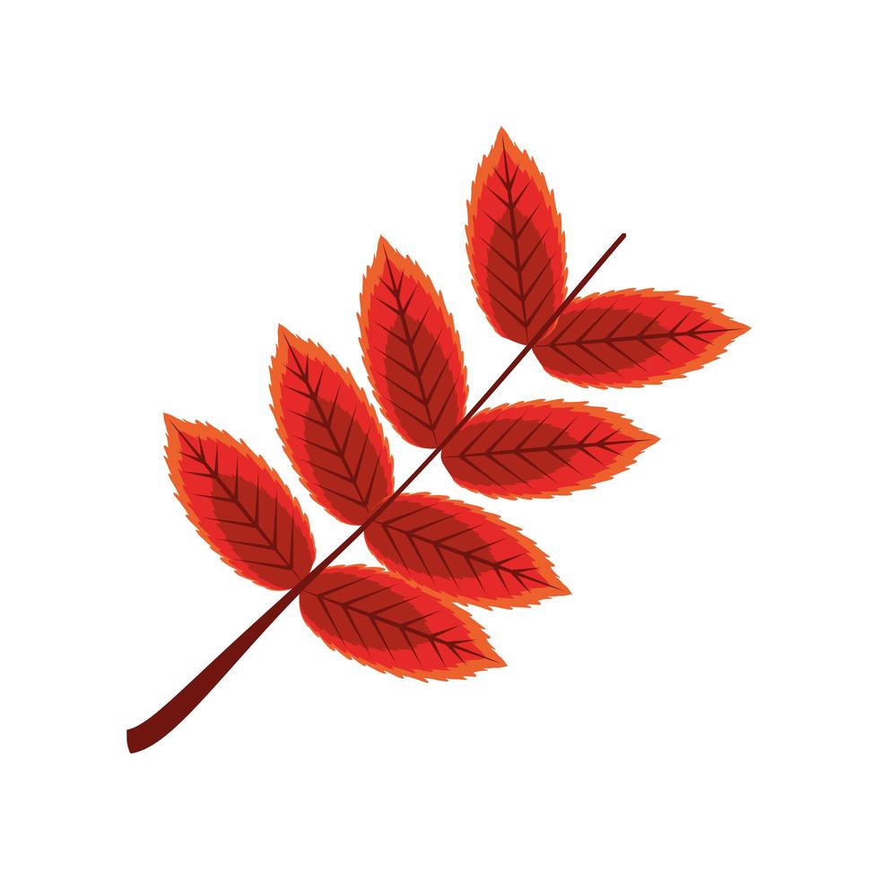 branch leaf autumn vector