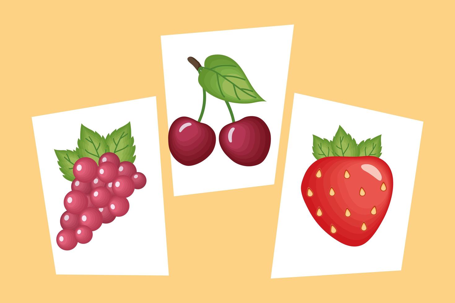 colección de símbolos de frutas vector