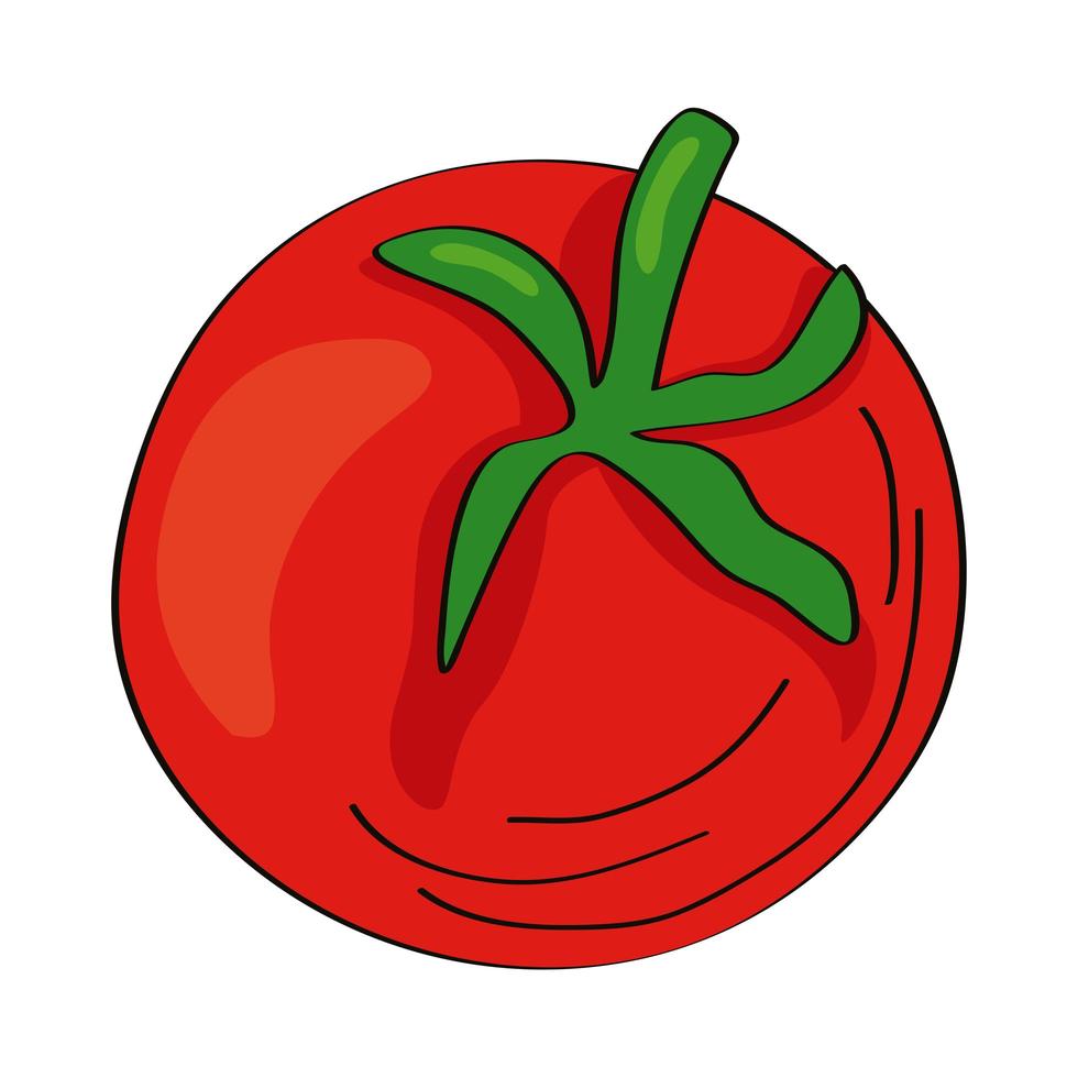 tomate vegetal fresco vector