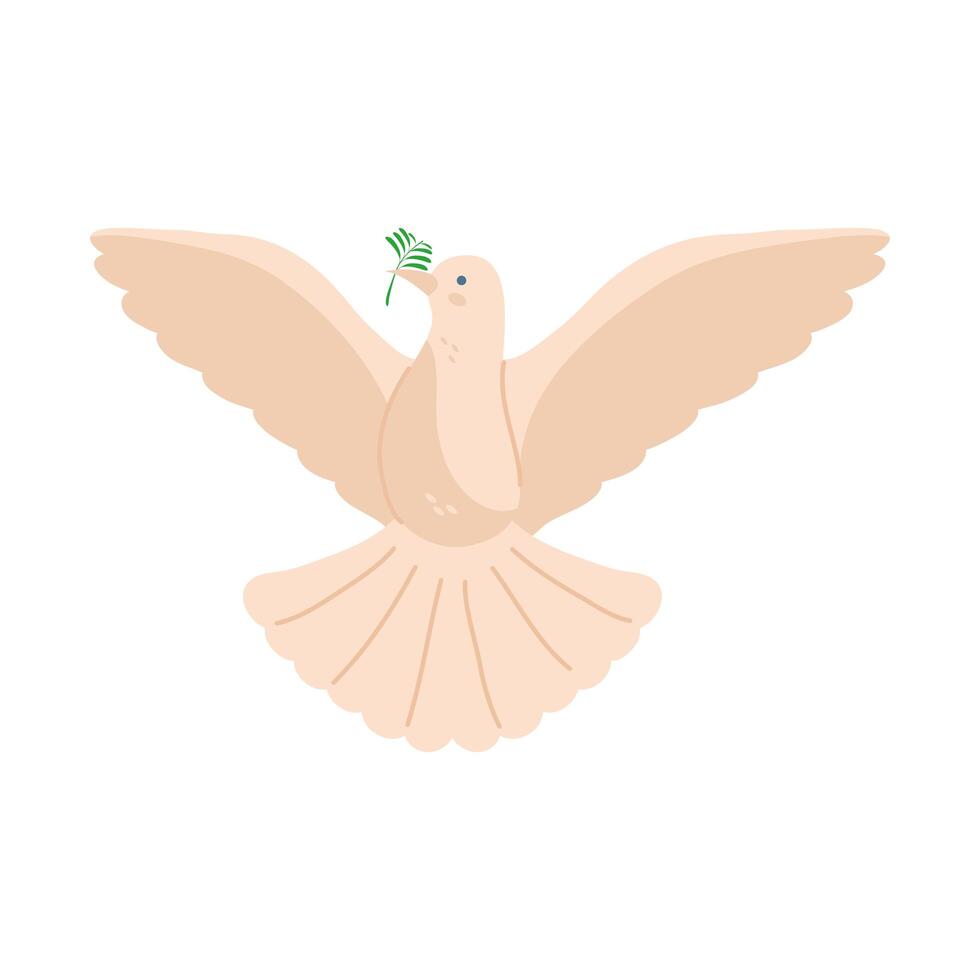 dove peace flying vector