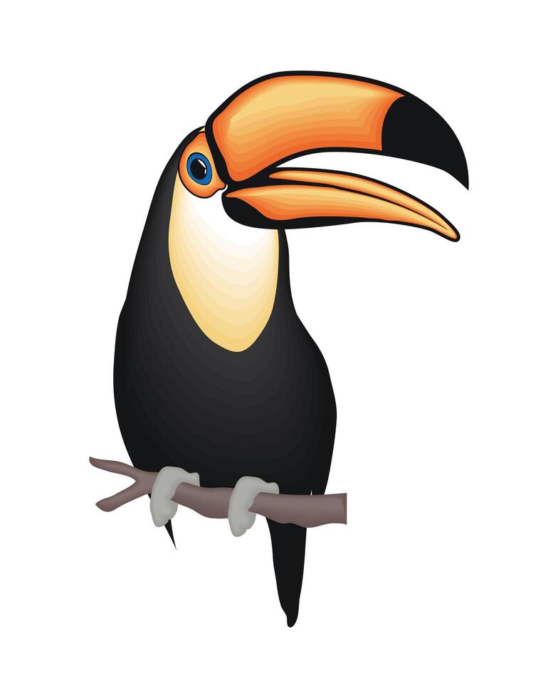 Cute toucan cartoon vector