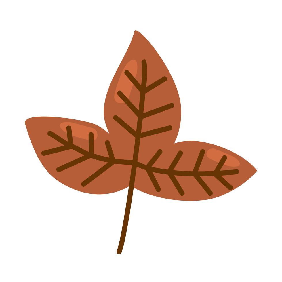 hojas de otoño natural vector