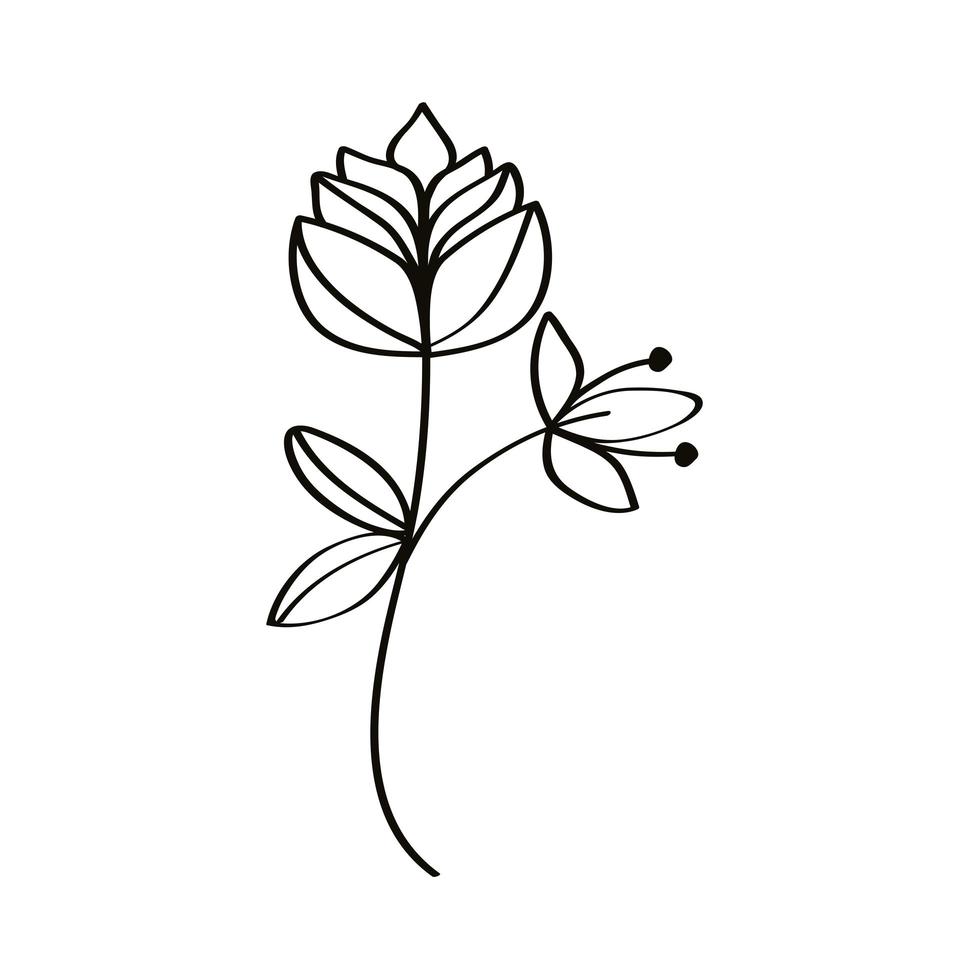 cute sketch flower 3754175 Vector Art at Vecteezy