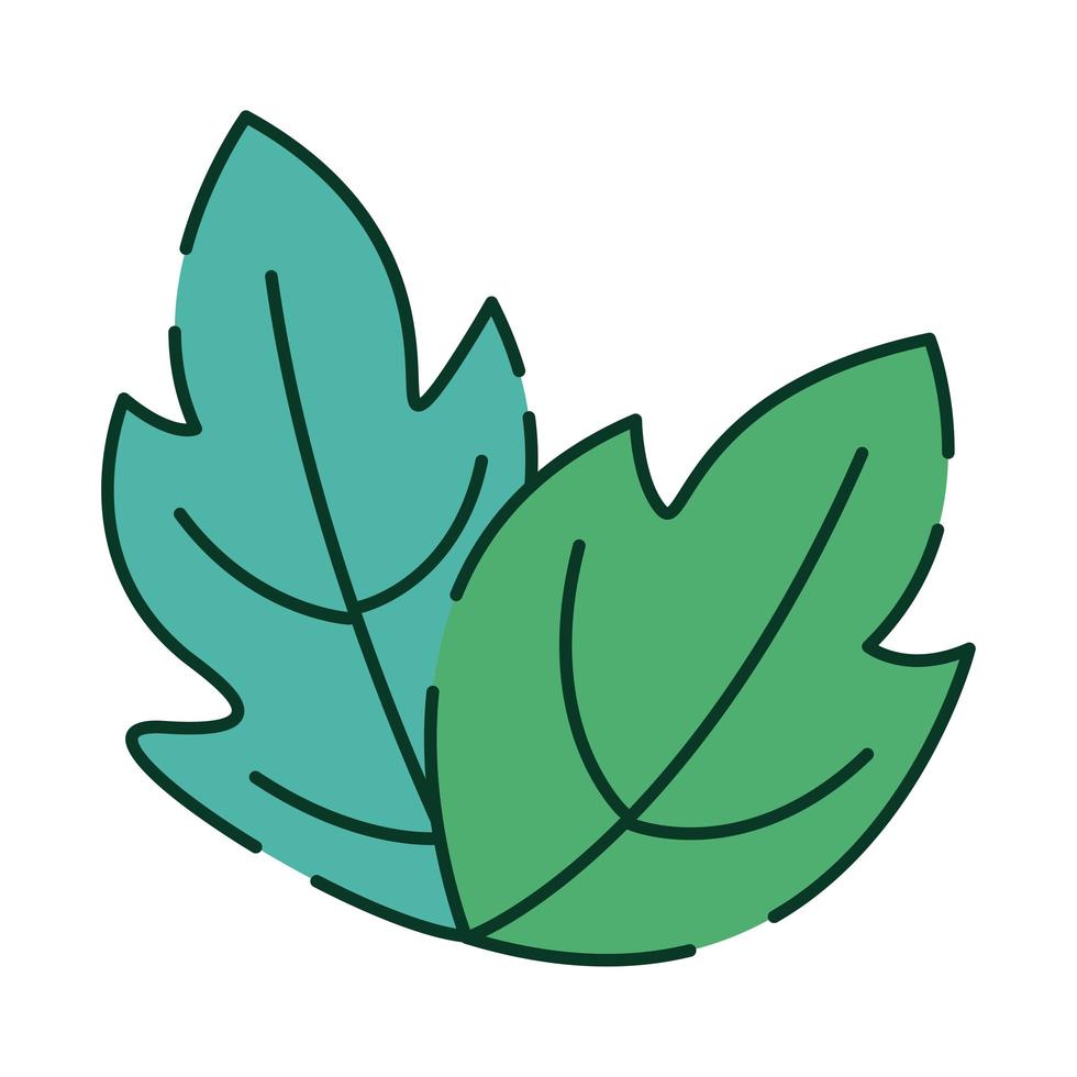 ecology leafs plant vector