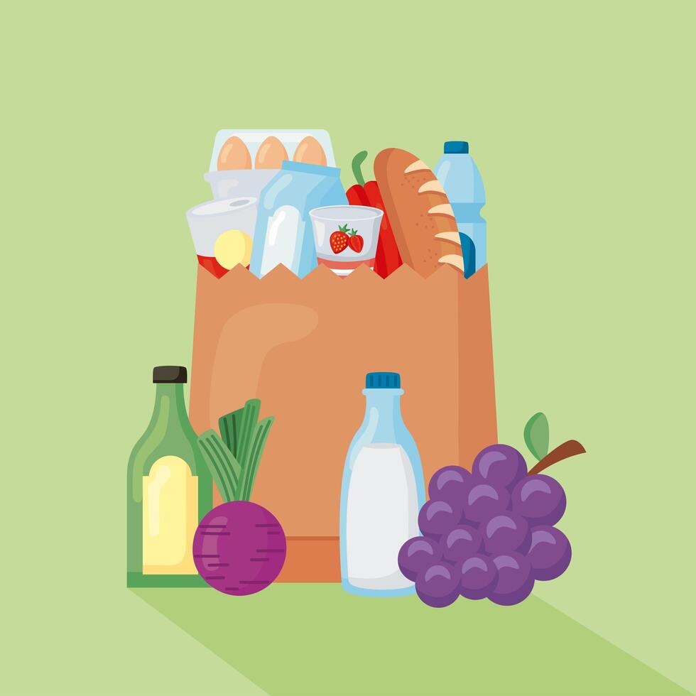 groceries in bag vector