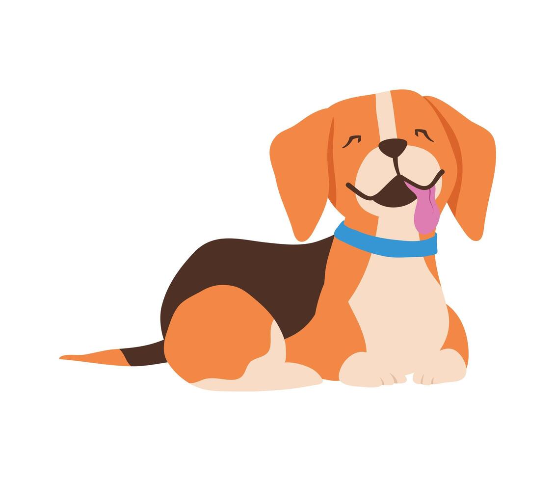 dog of the beagle breed vector