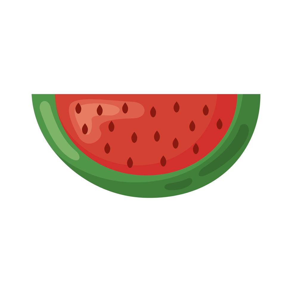 watermelon slice portion vector