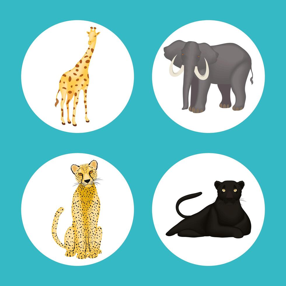 Cute animals icon set vector