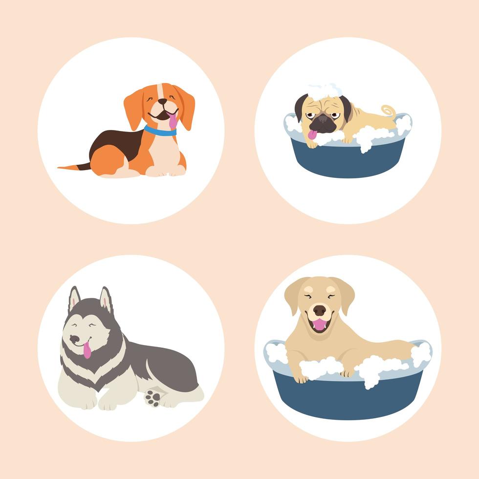 icons with cute dogs vector