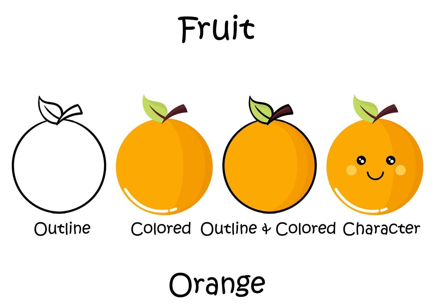 collection of illustrations of citrus fruits vector