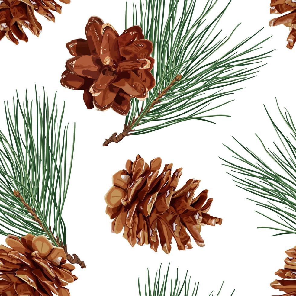 Botanical seamless pattern with pine cones and branches. Realistic winter background. Stock vector illustration isolated on white background.