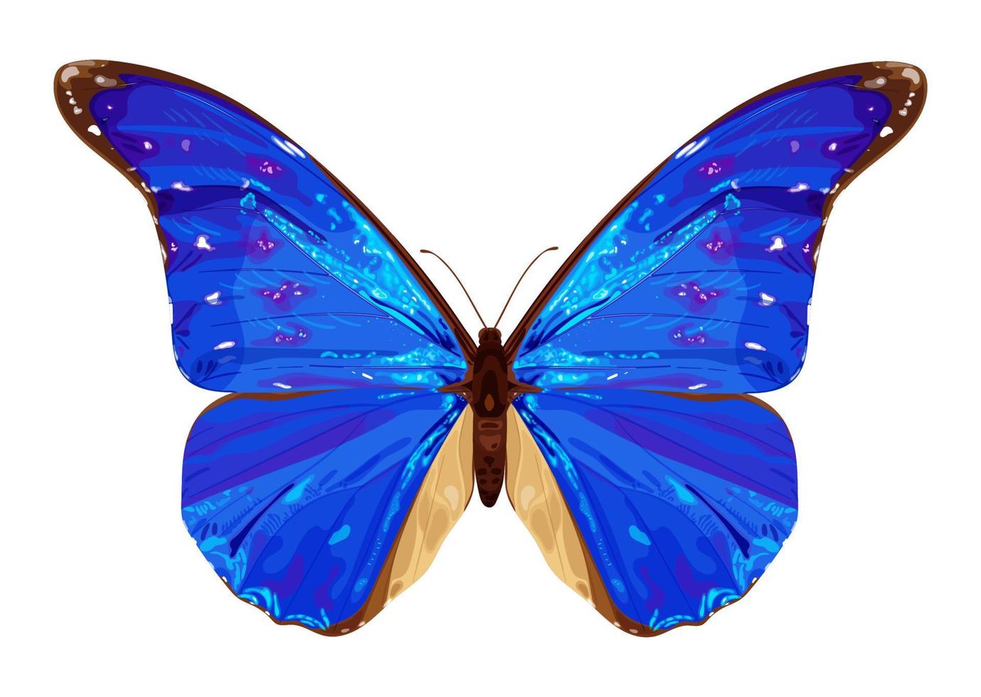 Blue butterfly. Tropical insect. Neon colors. Stock vector illustration isolated on white background.