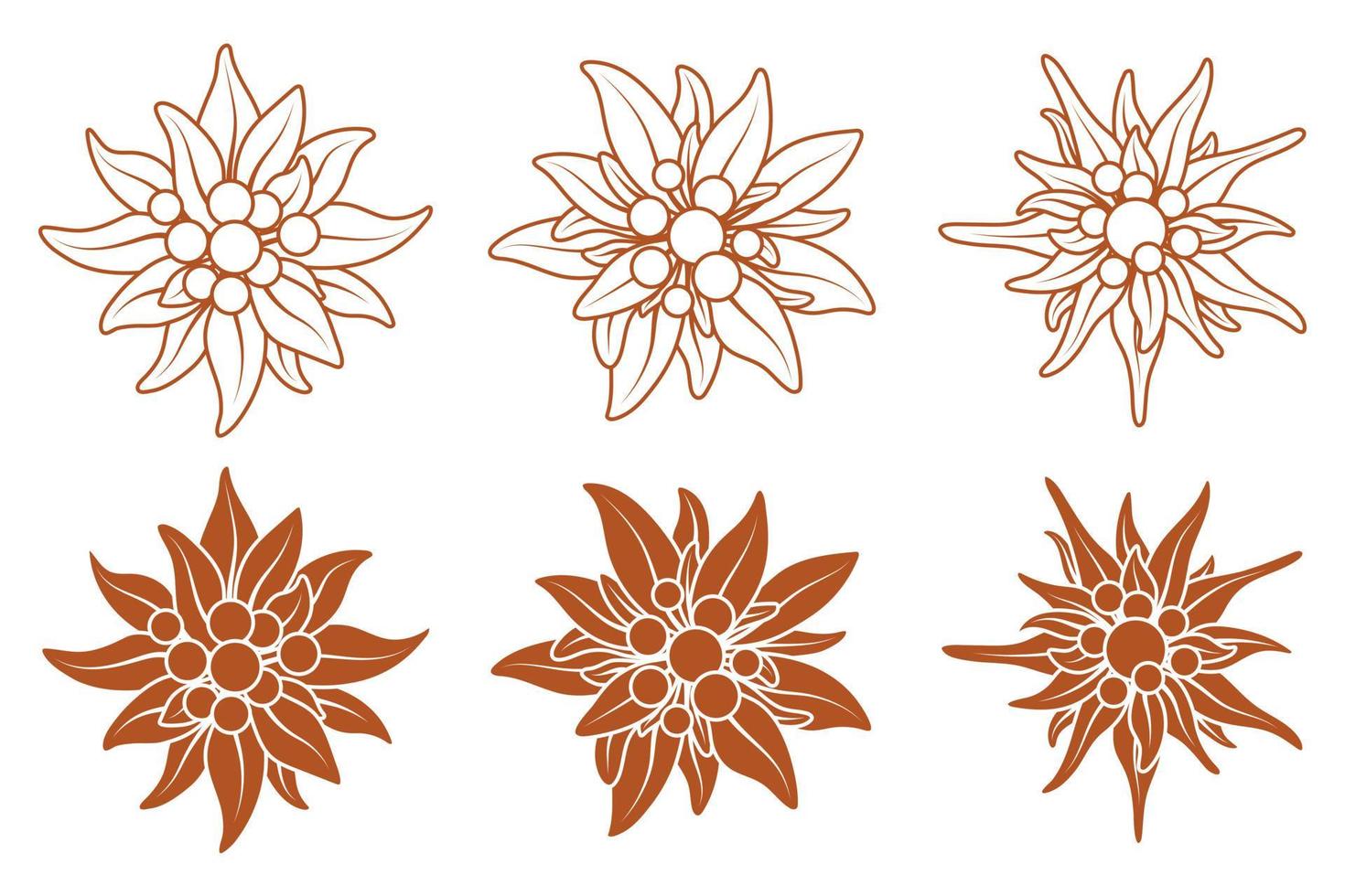 Collection of logo with edelweiss flowers. Mountain flowers. Mountaineering symbol. Stock vector illustration isolated on white background.