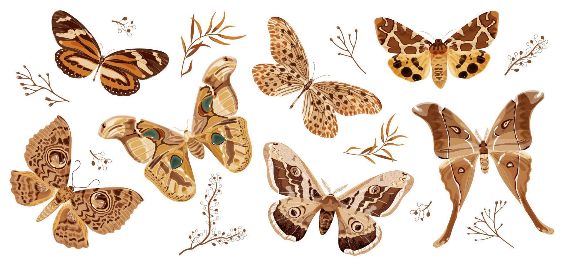 A collection of butterflies and moths painted in brown. The moth is a mystical symbol and talisman. Stock vector illustration isolated on white background.