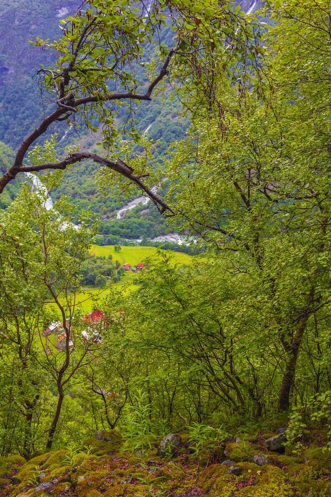 Utla river farmland landscape from above Utladalen Norway norwegian landscapes. photo