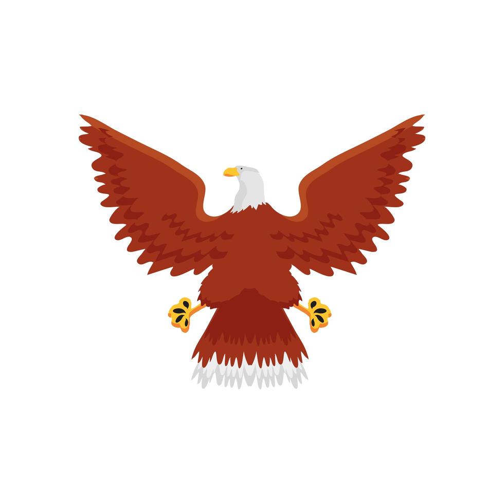 bald eagle bird vector