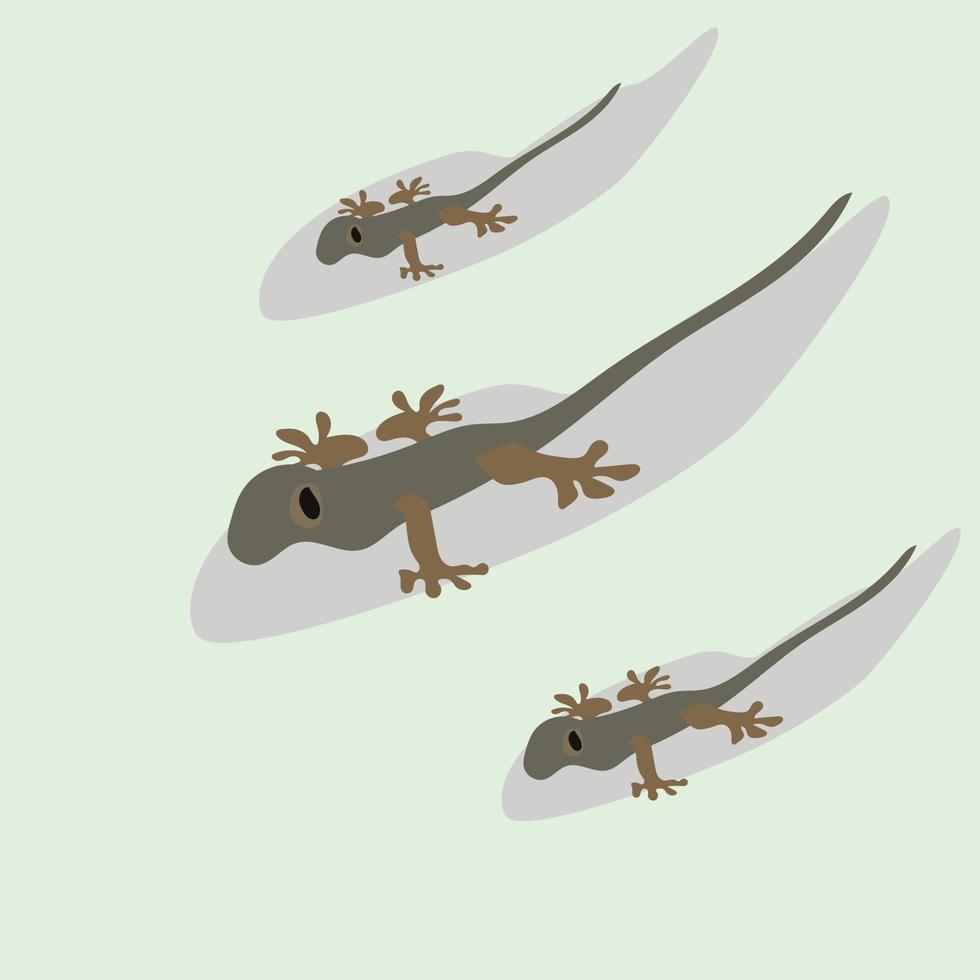 House Lizard Animal Illustration vector