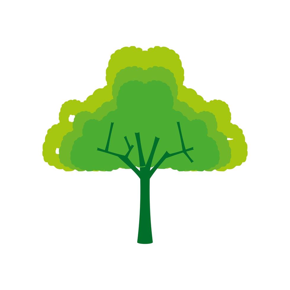 green tree ecology botanical vector