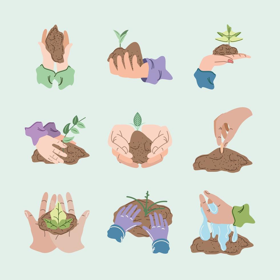 conjunto de crecimiento de plantas vector