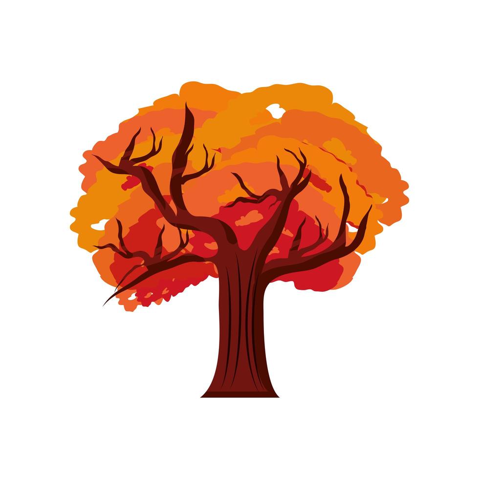 árbol otoño planta vector