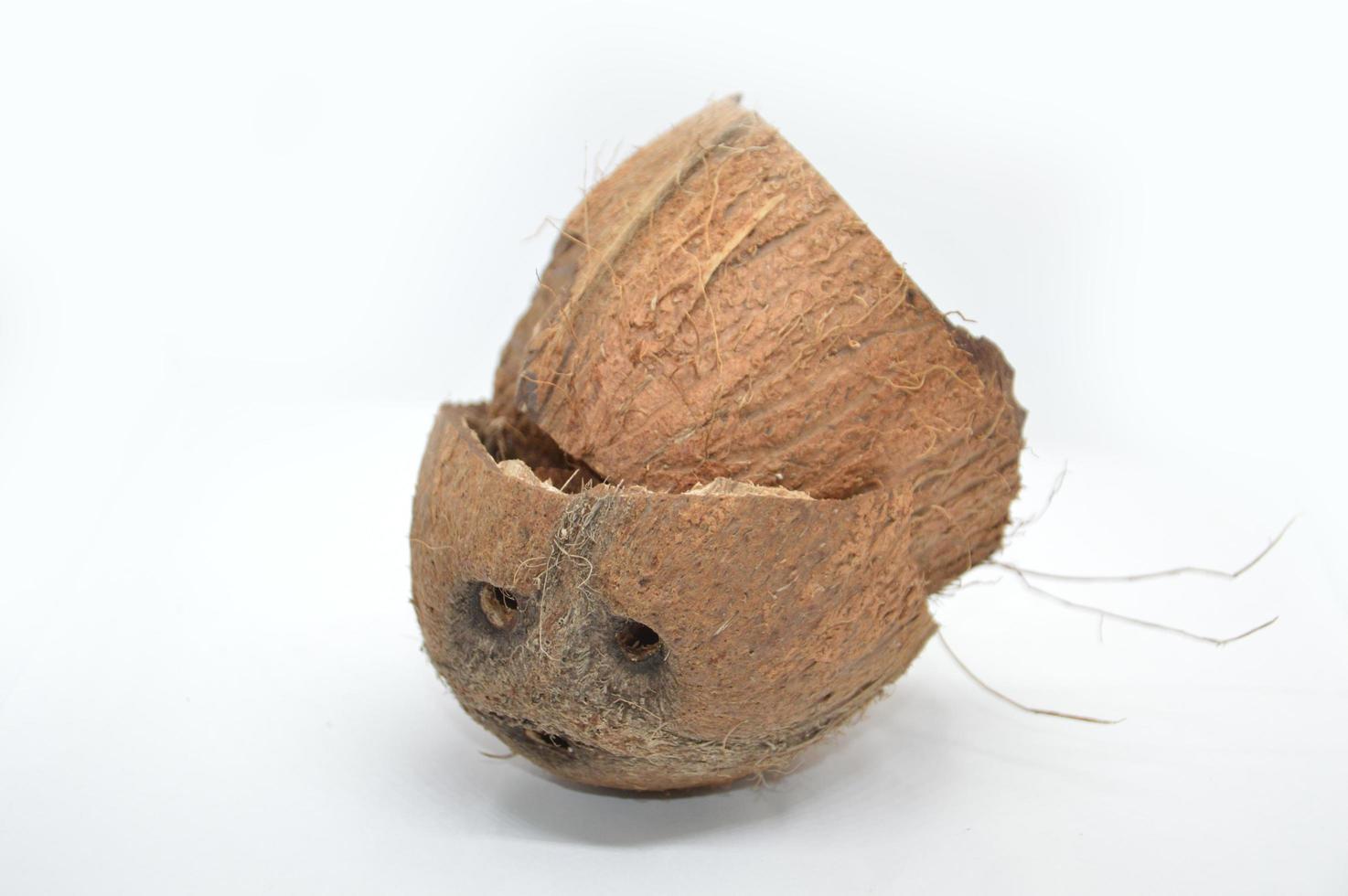 Coconut with palms on white background photo
