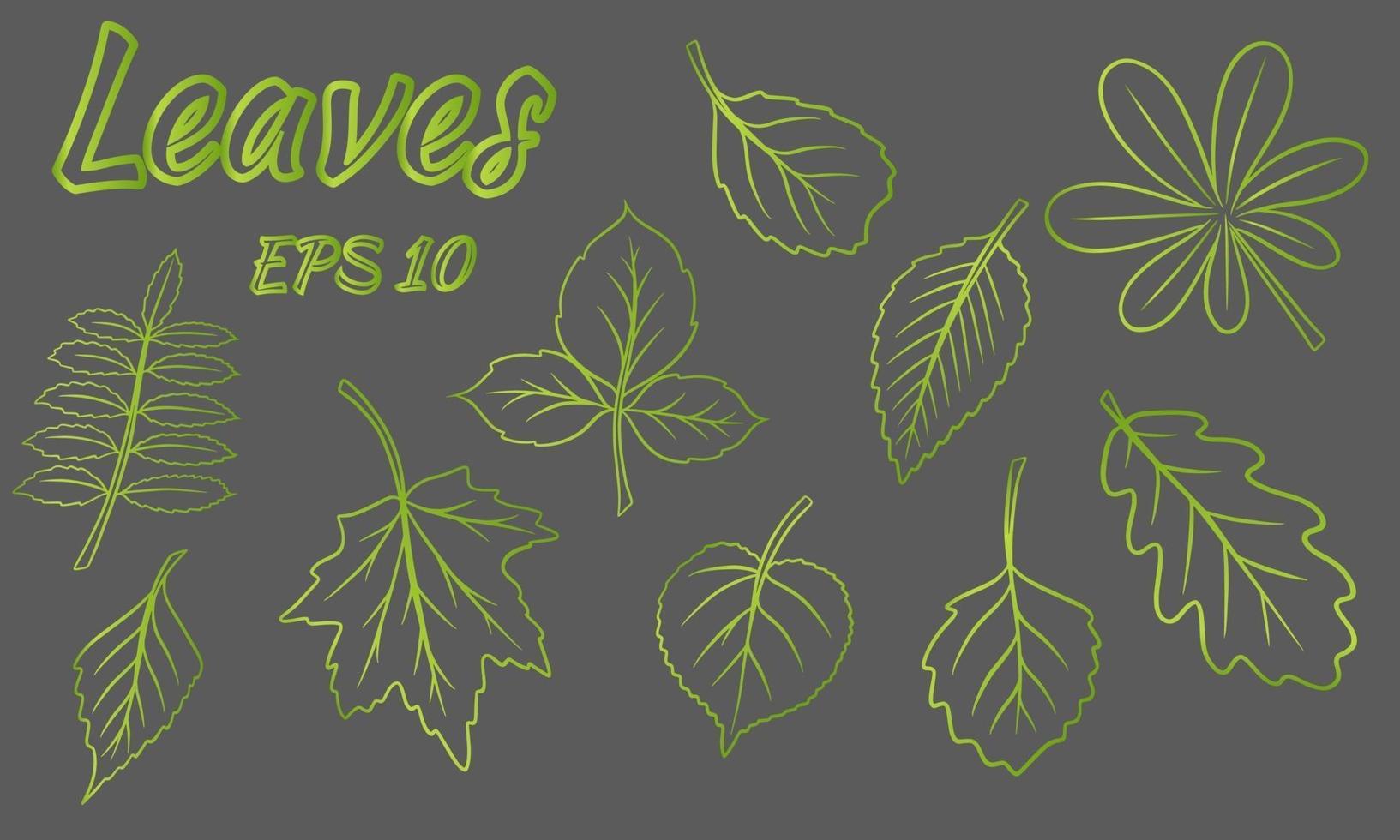 Collection of green leaves Leaves of different shapes Carved leaves Silhouette vector