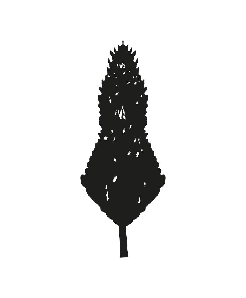 silhouette pine tree vector