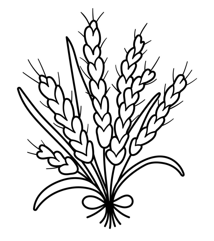 vector ramo de cereales de otoño en blanco y negro. contorno de racimo de cultivos. Ilustración de grano de caída de línea aislada sobre fondo blanco
