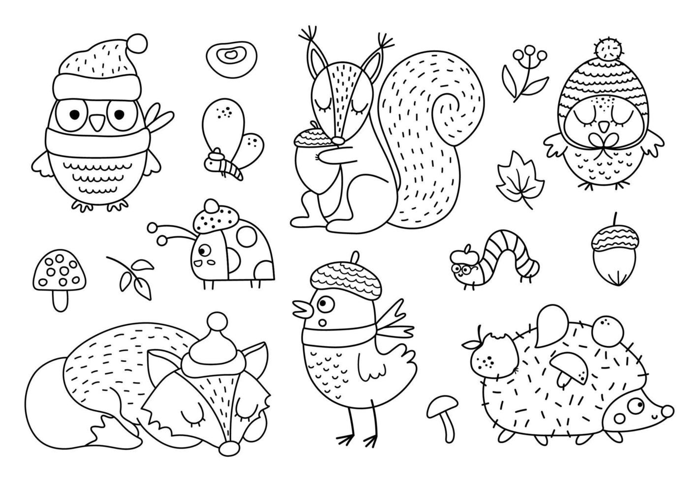 Vector black and white Autumn forest animals and insects set. outline hedgehog, squirrel, fox, owl in hats and scarves. Vector fall or Thanksgiving characters collection. Woodland line icons pack.