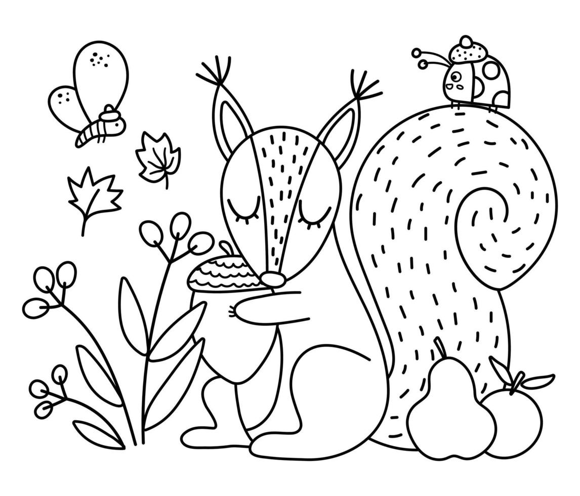 Black and white squirrel with acorn insects, fruits. Vector outline autumn scene with adorable animal. Fall season woodland scenery or coloring page. Funny forest line illustration.