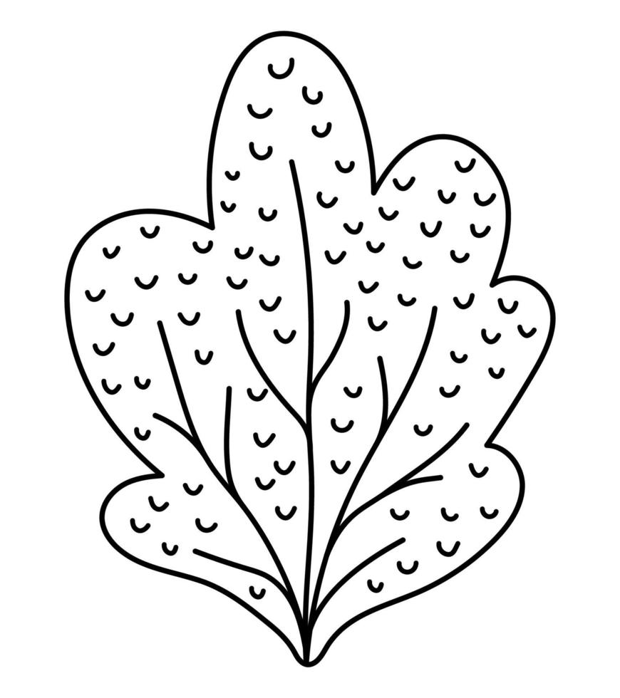 vector arbusto de bosque de otoño en blanco y negro aislado sobre fondo blanco. Ilustración de contorno de árbol de jardín de otoño. icono de línea de arbusto