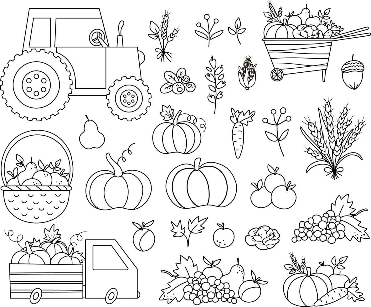 Conjunto de cosecha de otoño en blanco y negro. colección de hortalizas, frutas y bayas de línea vectorial con calabazas, zanahoria, manzana, repollo, maíz, pera, uvas. divertida ilustración de contorno de otoño vector