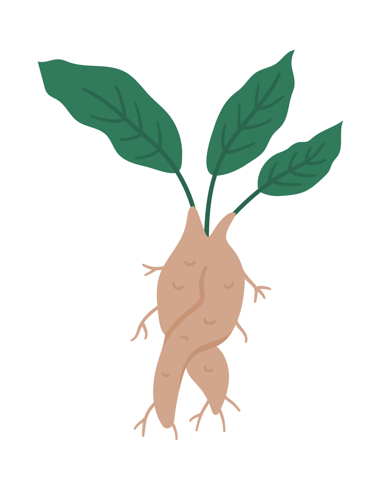 Ilustração do Stock: Hand drawing illustration. Vector illustration of  mandrake. Mandragora root homunculus, alchemy ingredient, witchcraft,  sorcery mystical creature. Halloween character. Botanical. Coloring page