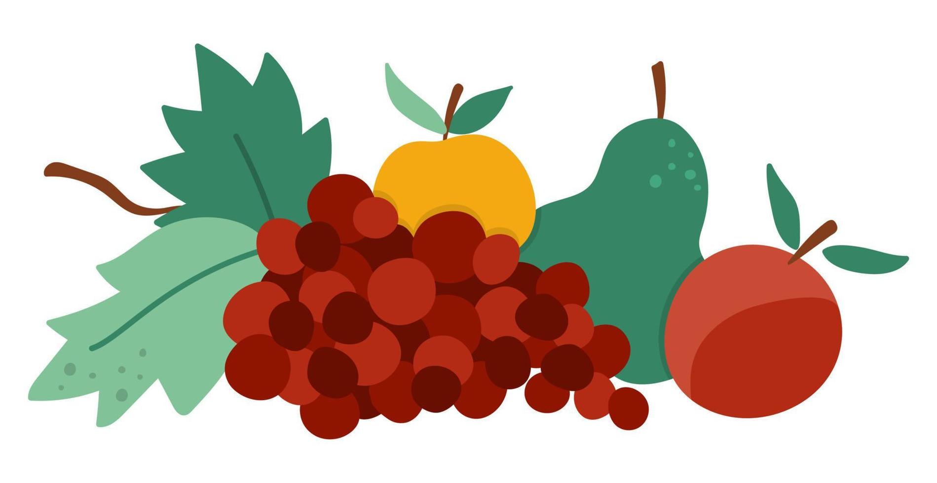 Vector fruit arrangement. Cute horizontal set with apples, pear and grapes. Autumn garden composition clipart. Fall season harvest icon isolated on white background