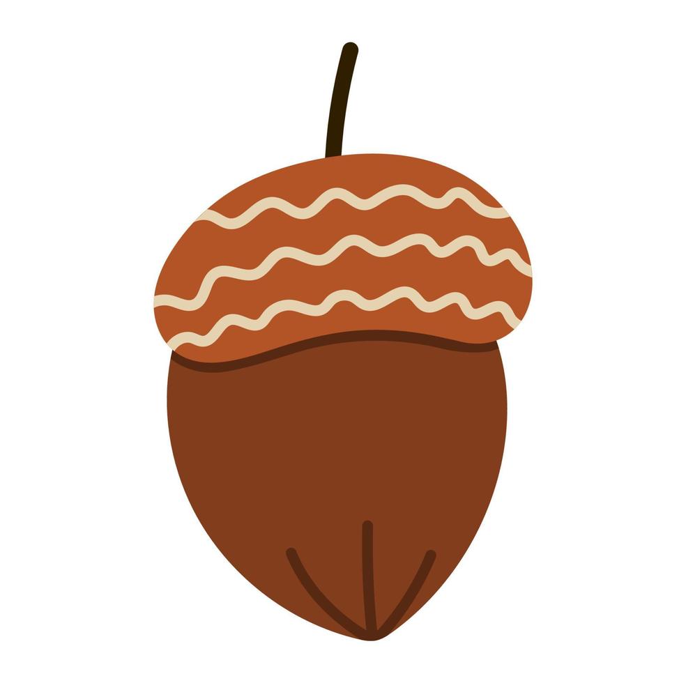 Vector oak acorn icon isolated on white background. Autumn tree greenery illustration. Flat style fall picture