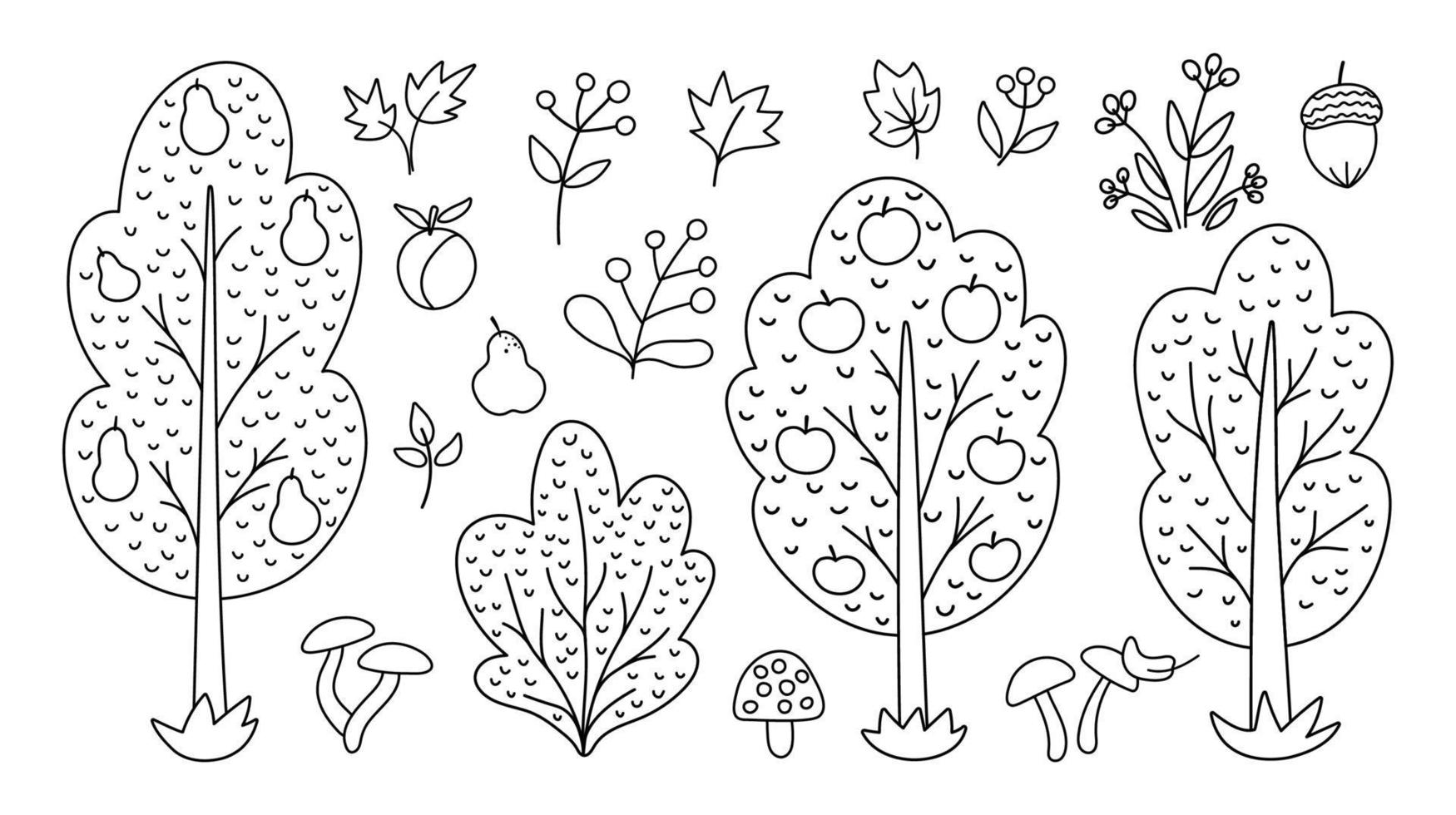 Vector black and white autumn forest or garden fruit trees, plants, shrubs, bushes, mushrooms set. Outline fall apple and pear garden illustration. Natural greenery line icons collection