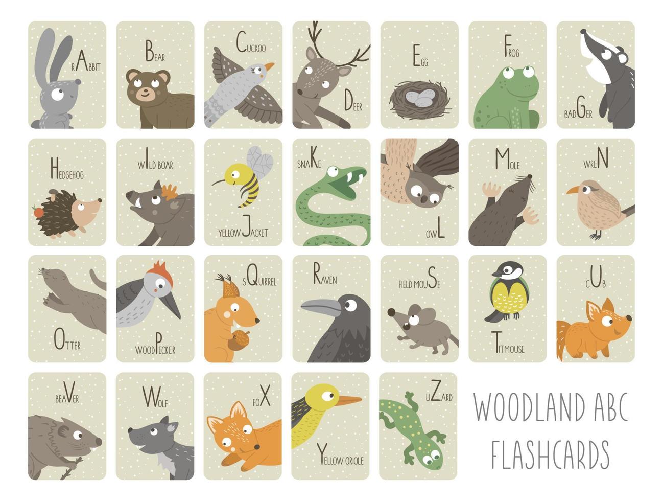 Woodland alphabet cards for children. Cute cartoon ABC set with forest animals. Funny flashcards for teaching reading or phonics for kids. English language letters pack vector