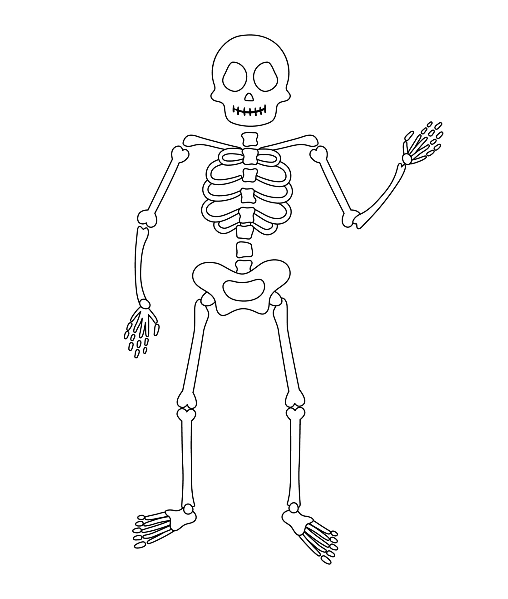 Halloween party illustration with human skeleton. Vector ...