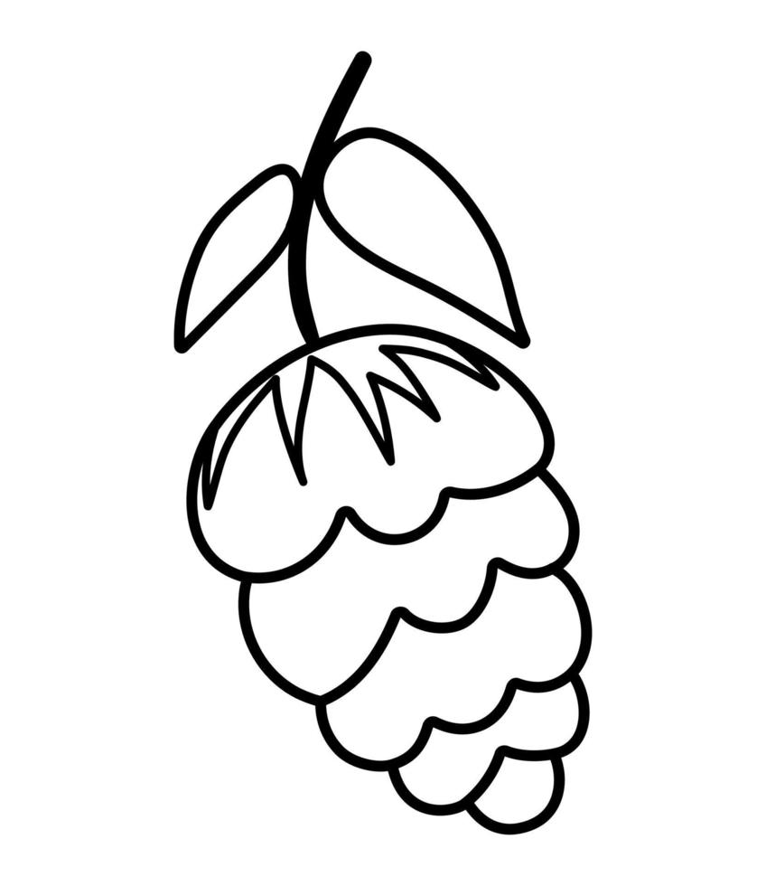 icono de línea de cono de vector aislado sobre fondo blanco. Ilustración botánica en blanco y negro de vegetación de árboles. dibujo de contorno de otoño