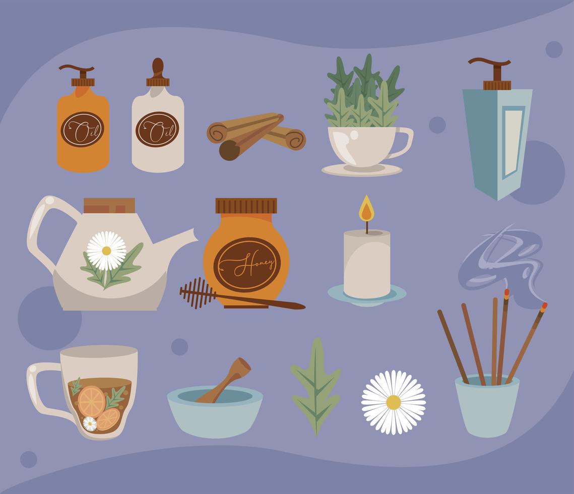 thirteen aromatherapy icons vector