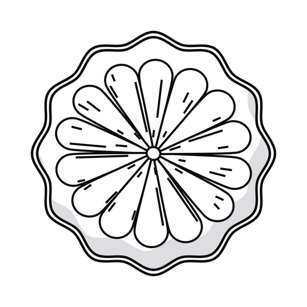 medium orange fruit sketch vector