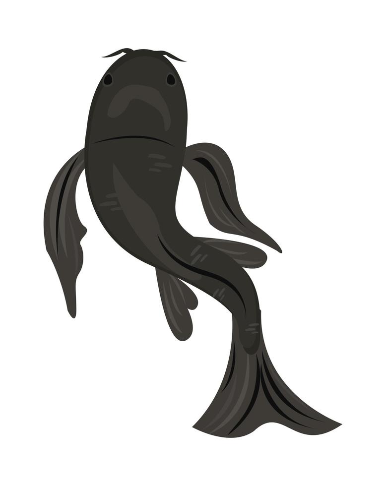 black koi fish vector