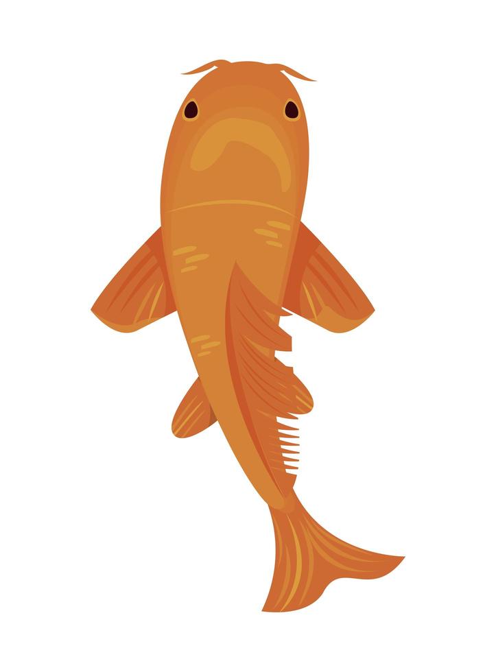 orange koi fish vector