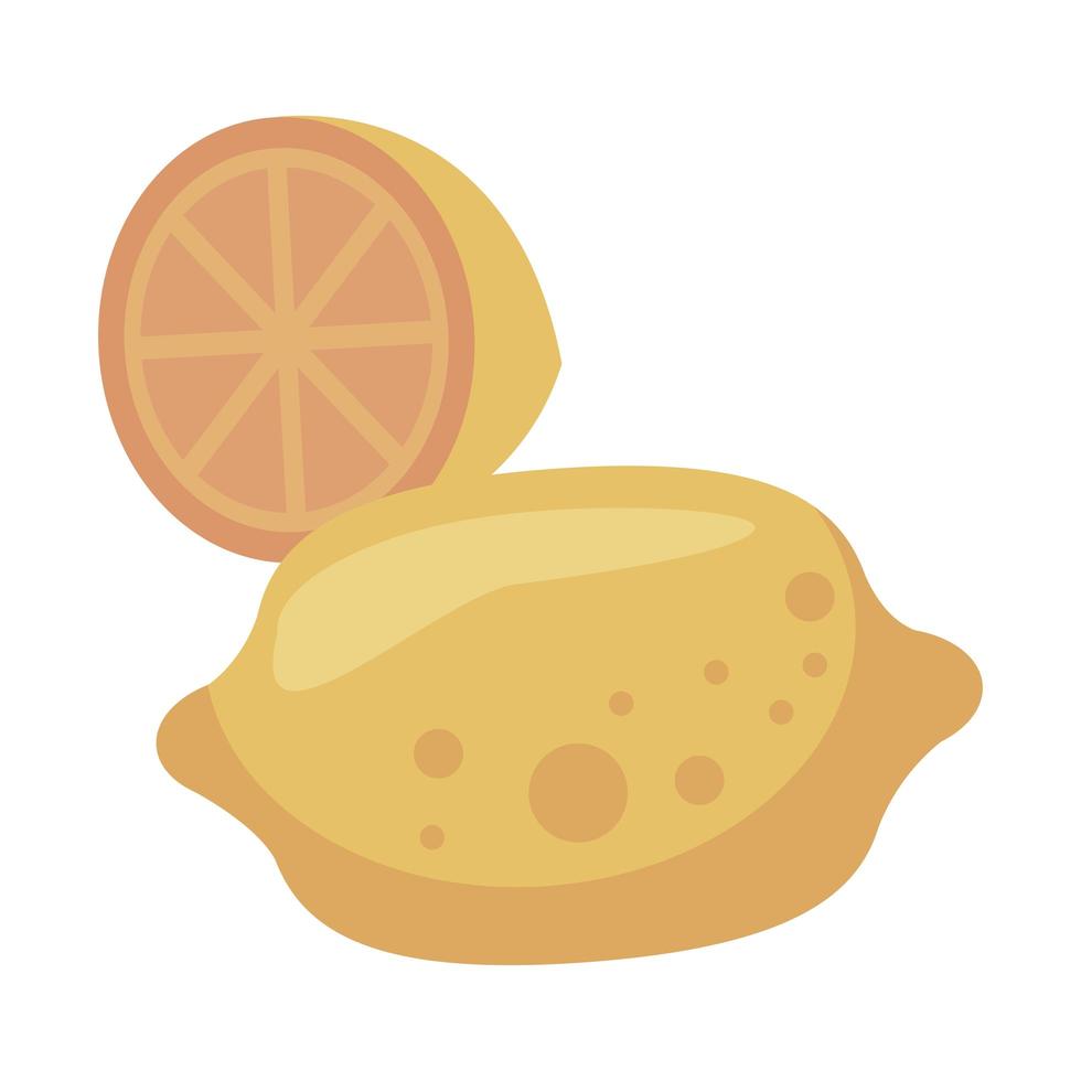 lemon citrus fruit vector