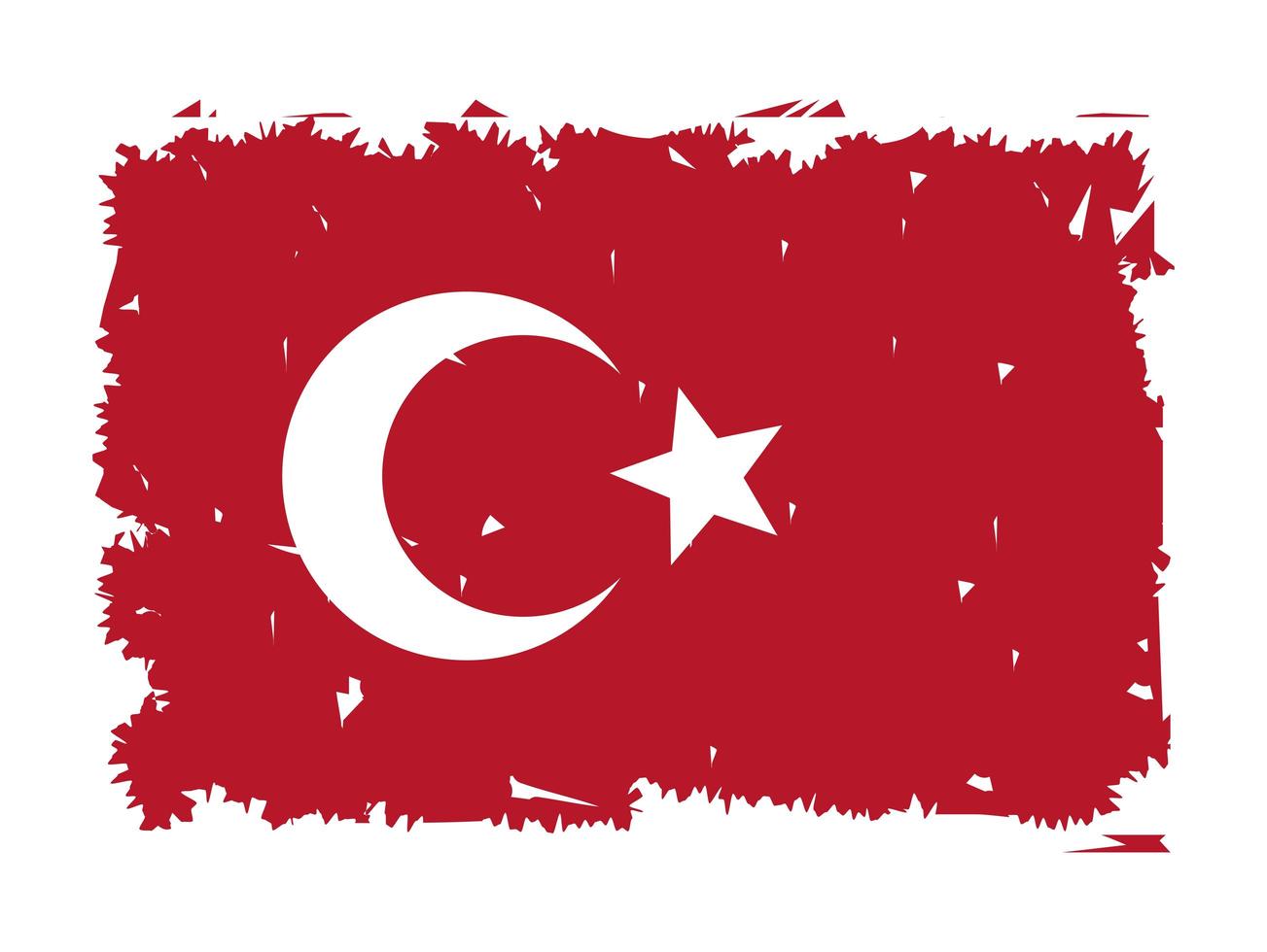 turkey flag painted vector