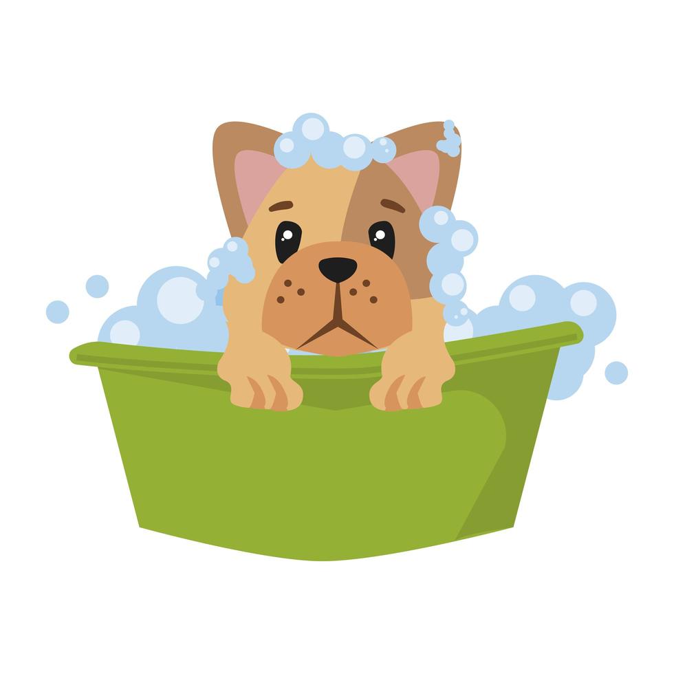 dibujos animados de bulldog bañándose vector